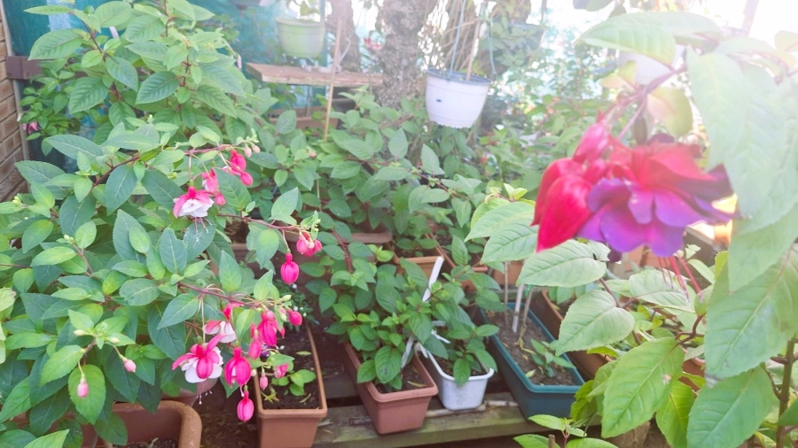 3 Bedroom Property for Sale in Jongensfontein Western Cape